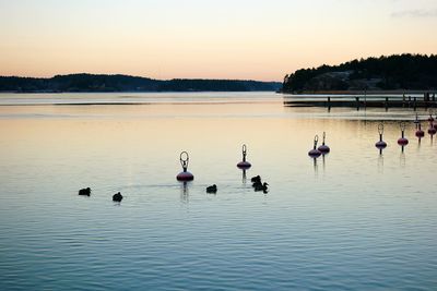 Scenic view of lake at sunset