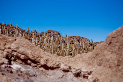View of arid landscape against clear blue sky