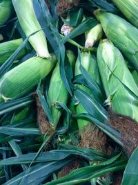 High angle view of vegetables for sale in market