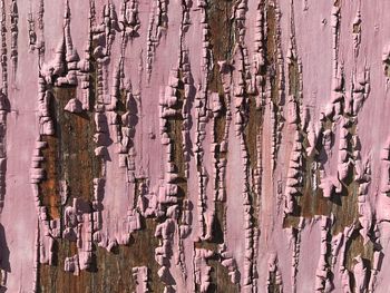 Full frame shot of weathered wood