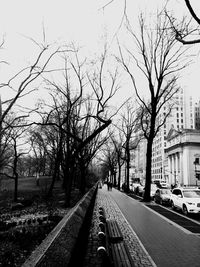 Road passing through bare trees