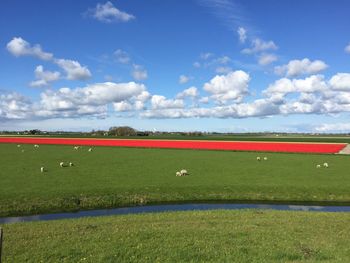 Countryside landscape against clear sky