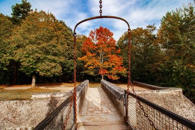 Footbridge amidst trees against sky during autumn