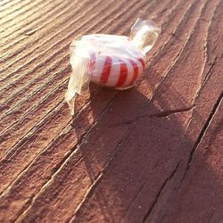 Close up of red flower on wooden table