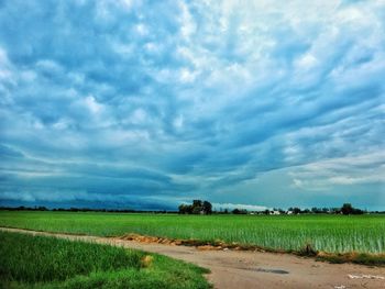 Scenic view of agricultural field against sky