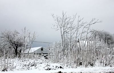 Houses on snow covered field