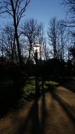 Silhouette trees against sky at sunset