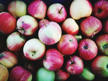 Full frame shot of apples