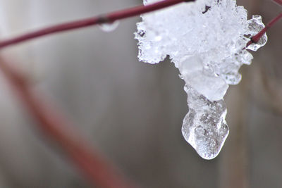 Close-up of ice crystals