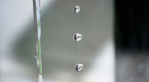 Close-up of water drops falling outdoors