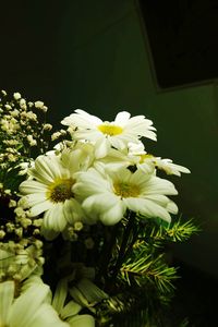 Close-up of flowers