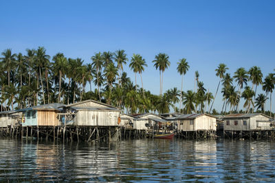 Houses by palm trees against blue sky