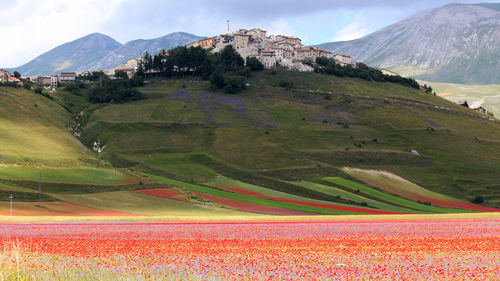 Scenic view of landscape and mountains against sky