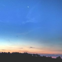 Silhouette trees against sky during sunset