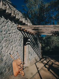 Shadow of tree on wall