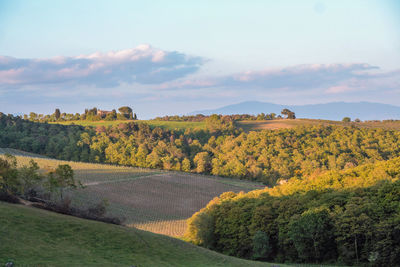 Scenic view of field against sky during autumn