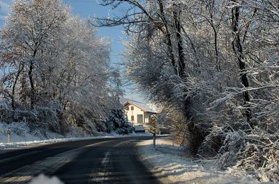 Road amidst trees and buildings during winter