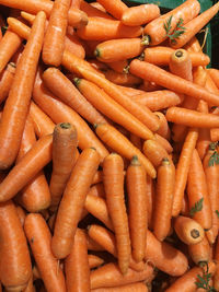 Close-up of carrots