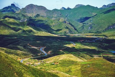 Scenic view of agricultural field