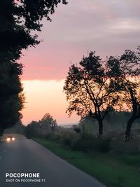 Trees by road against sky during sunset