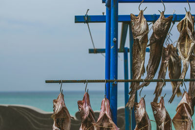 Fish drying in front of the sea