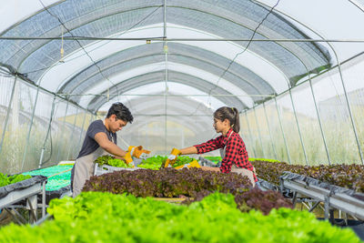 Man and woman working in greenhouse