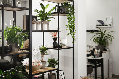 Manicure beauty salon. cozy interior of manicure salon with stylish shelves and green plants. eco