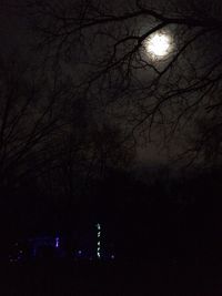 Low angle view of illuminated bare trees at night