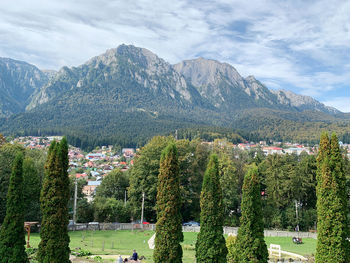 Panoramic view of trees and mountains against sky