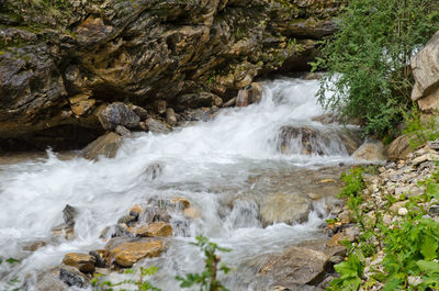Scenic view of waterfall in forest
