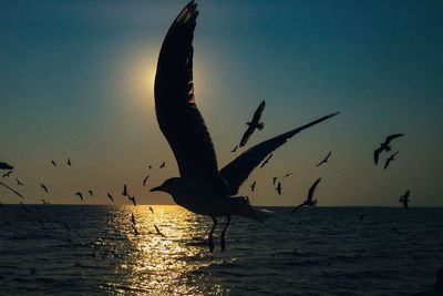 Silhouette birds flying over sea against sky