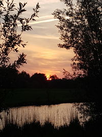 Silhouette trees by lake against sky during sunset