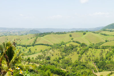 Scenic view of green mountains against sky