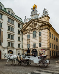 Carriage with horse in front of building in vienna 