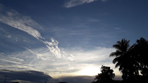 Low angle view of silhouette palm trees against sky