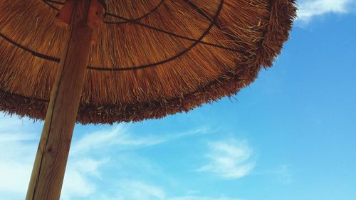 Low angle view of tree against sky