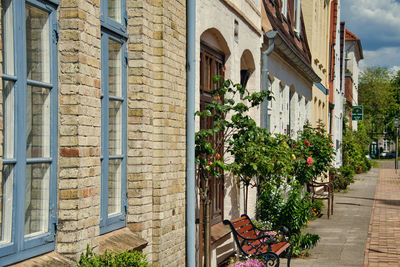 Potted plants on street by building