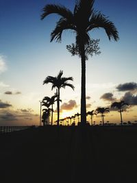 Silhouette palm trees on beach against sky during sunset