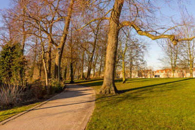 Road amidst trees against sky