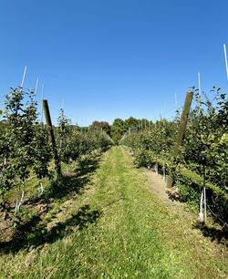Scenic view of land against clear sky