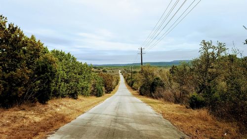 Road amidst trees against sky