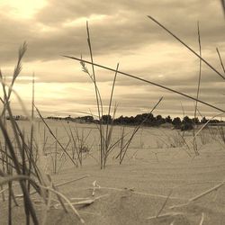 Scenic view of sea against cloudy sky