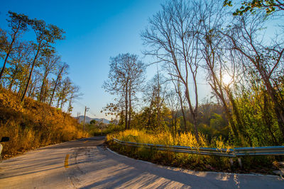 Road amidst trees against sky during autumn