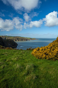 Scenic view of sea and green field against cloudy sky