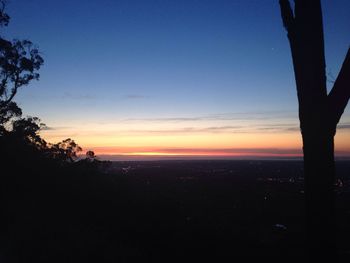 Silhouette of trees at sunset