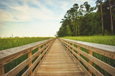 Boardwalk amidst trees against sky