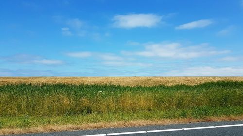 Scenic view of field against sky