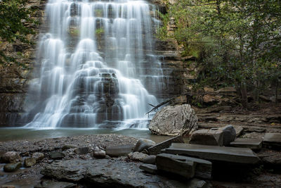 Scenic view of waterfall in forest