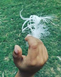 Close-up of cropped hand holding plant