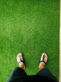 Low section of woman standing on grass